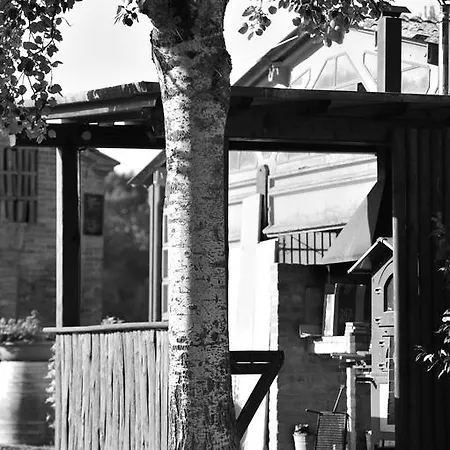 Fattoria Armena Di Saraceni And Vannozzi *