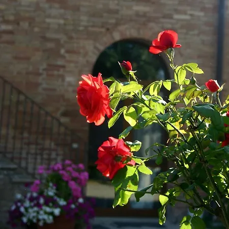 Agriturismo Fattoria Armena Farm stay