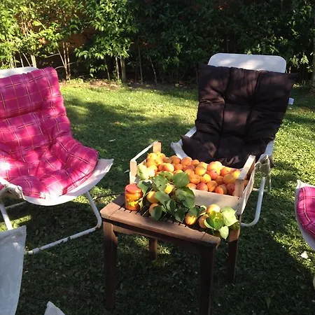 Agriturismo Fattoria Armena * Buonconvento